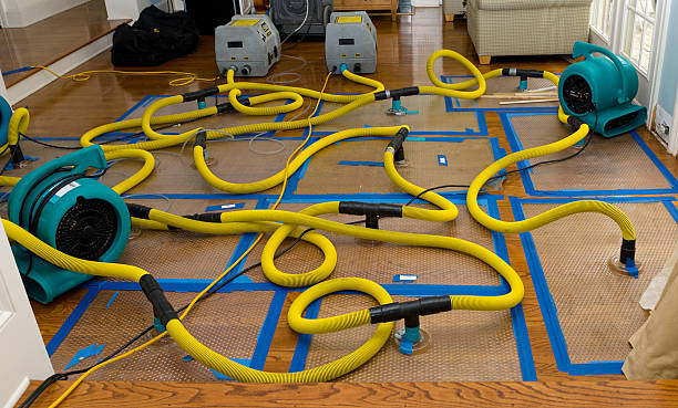 Professional Flood Damage Restoration technician working in Arcadia, FL